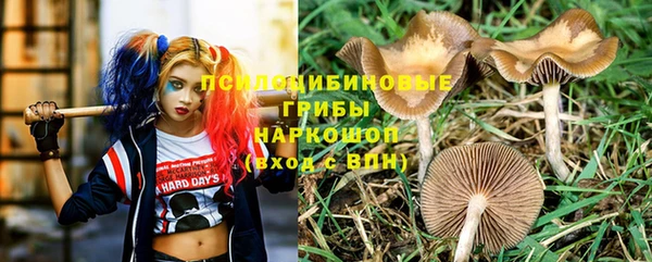 ALPHA-PVP Заводоуковск