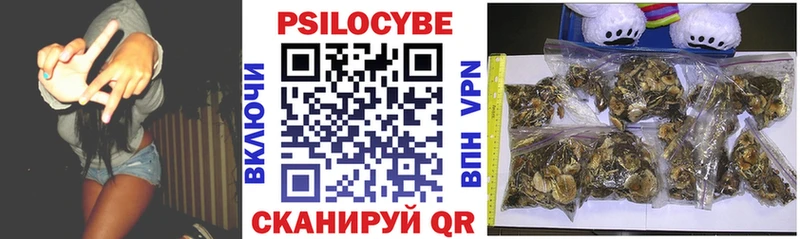 OMG маркетплейс  цена наркотик  Жуковский  Галлюциногенные грибы Magic Shrooms 